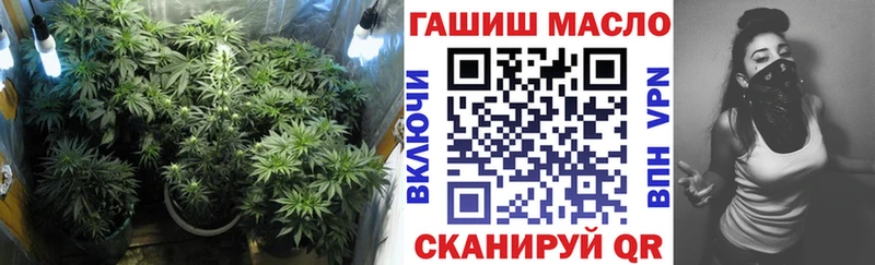 где продают наркотики  Вичуга  Дистиллят ТГК THC oil 