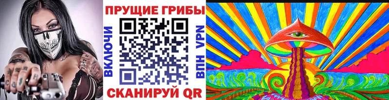 Псилоцибиновые грибы MAGIC MUSHROOMS  Вичуга 